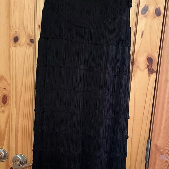 Roaring 20s fringed flapper dress! - Picture 2 of 7